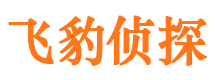 和静市侦探公司